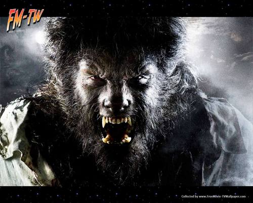 The Wolfman Movie Poster