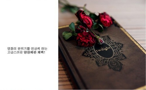  Amazing Korean Twilight Notebook