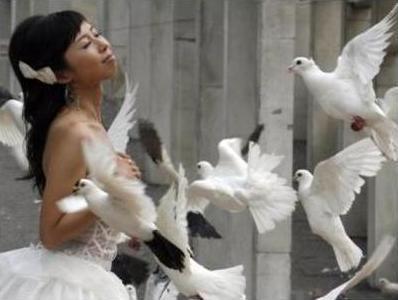  Bride and Doves