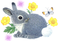 Easter Bunny,Animated