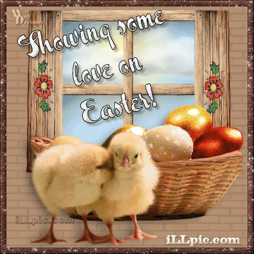 Easter Chicks,Animated