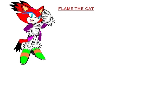  Flame the cat
