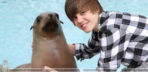  JBieber and a seal!!!