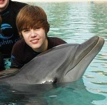  Justin and a dolphin!!!