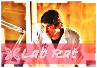  Lab con chuột