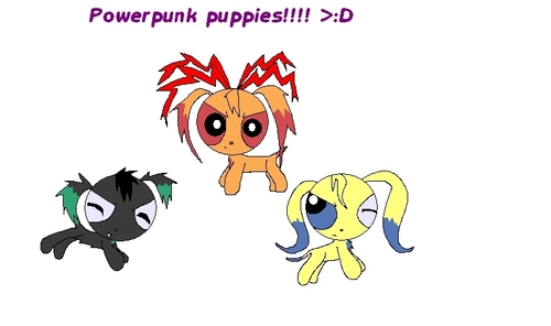  Powerpunk puppies!!