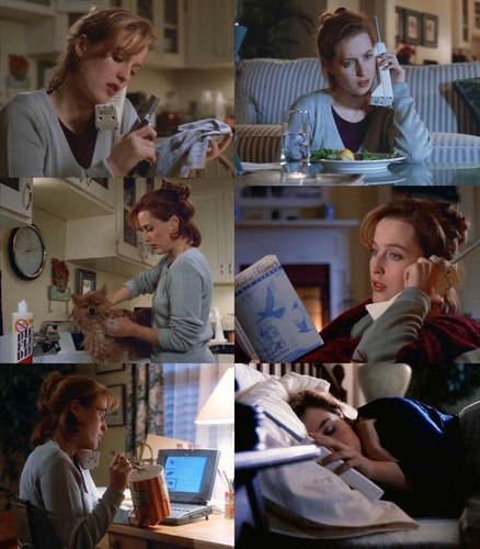  war of the coprophages - scully