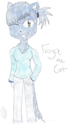  Freya the Cat