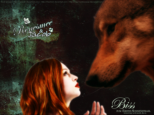 Jake and nessie wallpaper