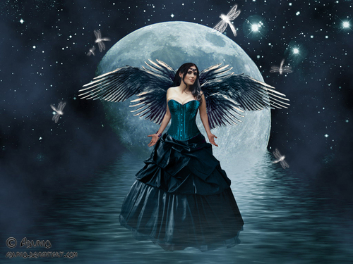  Moon Fairy