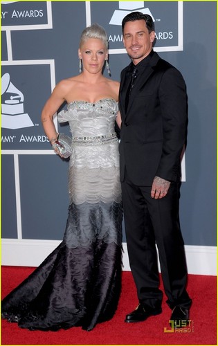  गुलाबी @ 2010 Grammy Awards