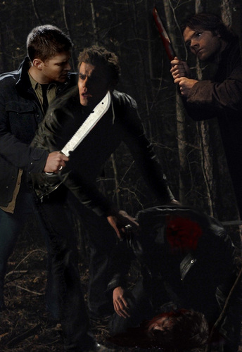  Sam and Dean decap some vampires, damn straight !!