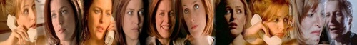 Scully Banner <3