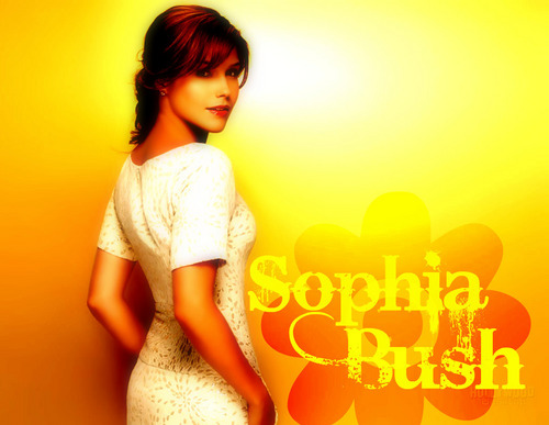  Sophia buisson, bush