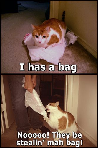  Stealing my Bag