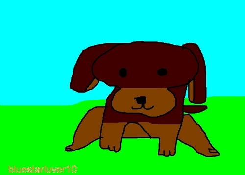  drawing of browndog.