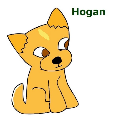  my dog hogan