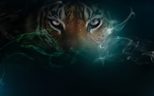  ~♥ Tiger ♥ ~