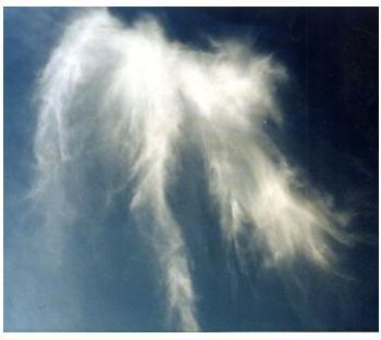  Angel awan