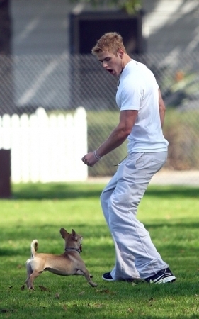  Kellan at the park with his dogs
