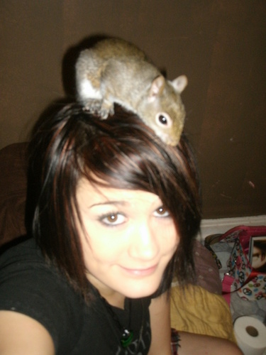  Meh and Hammy