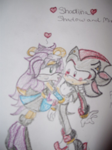  Shadow and Mina (Girst for SegaFan ^^)