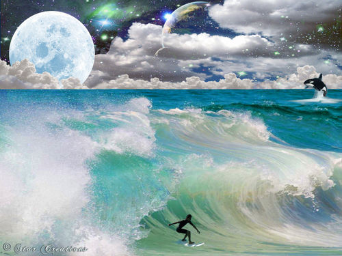  Surfing Heaven