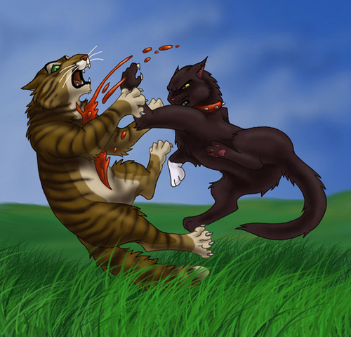  The death of Tigerstar