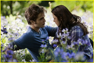 http://images2.fanpop.com/image/photos/10400000/Eclipse-Still-animations-twilight-series-10448556-300-201.gif