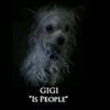  Gigi is people