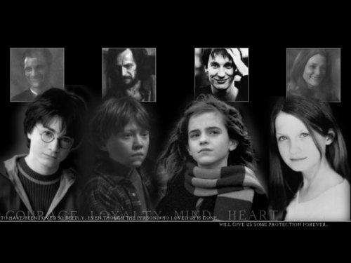  Harry,Ron,Hermione,Ginny