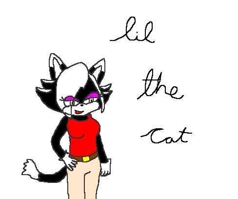 Lil the cat