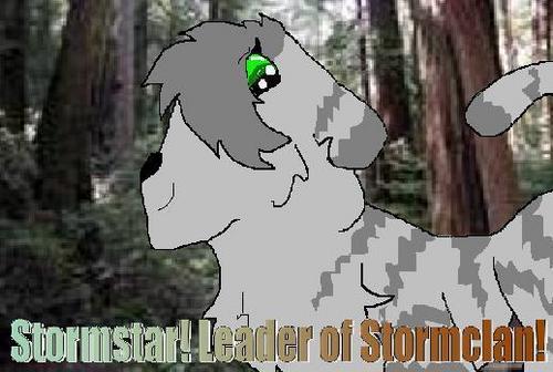 Stormstar of Stormclan!