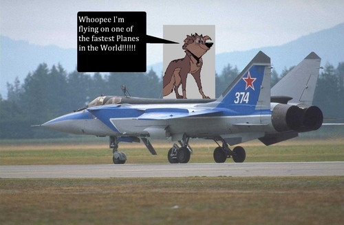  звезда on a Mig 31