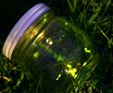  Fireflies in a jar