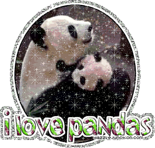 I love pandas