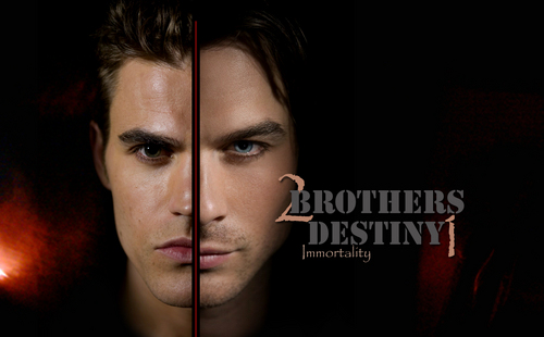  The Salvatore Brothers wallpaper