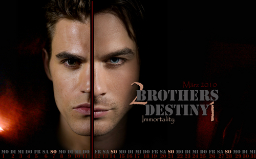  The Salvatore Brothers achtergrond