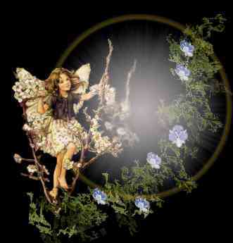  fairy