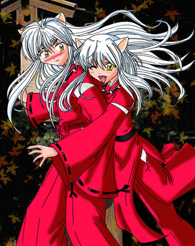  इनुयाशा _ and kagome ?