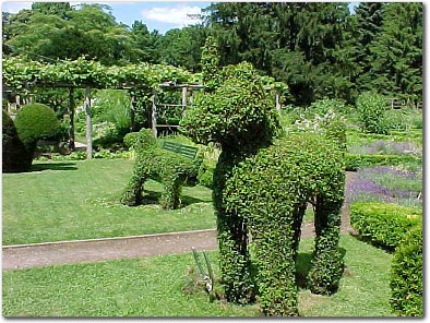  Animal Topiary