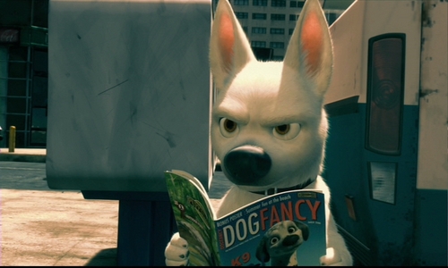  Bolt 読書 Dog Fancy
