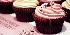  Cupcakes <3