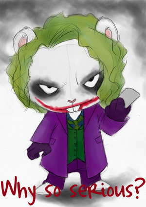  Joker Flippy