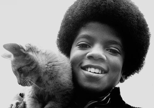  Michaels Kitty Cat~<3