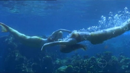  swimming underwwater