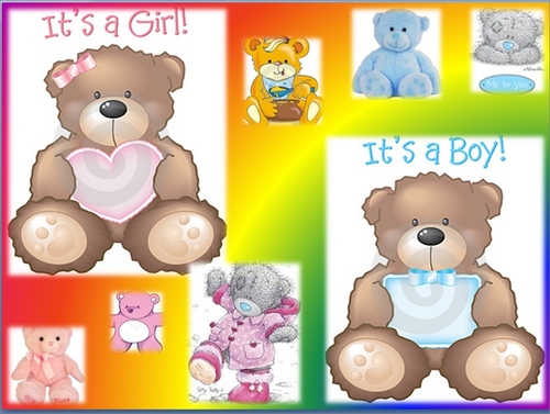  Boy and Girl Teddybears