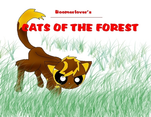 Cats Of The Forest poster