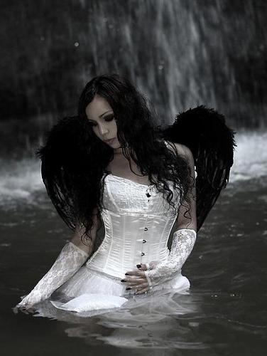  Fallen angel