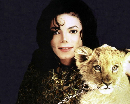  Large MJ foto